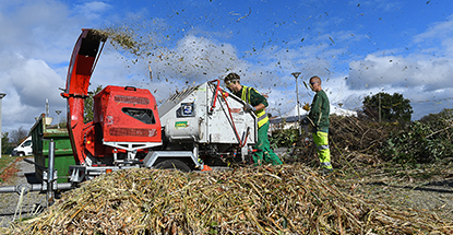 Broyage déchets verts