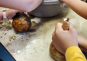 Cougourdons atelier