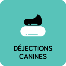  déjections canines 