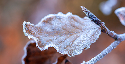 Plan grand froid